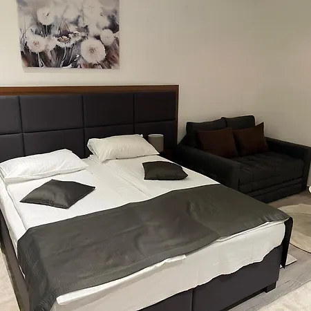 & Zoned Ii, Kopaonik, Lukac - Special Benifit Children Up To 17 Of Age Accompanied By Two Adutls Staj For Free! Free Parking! アパート